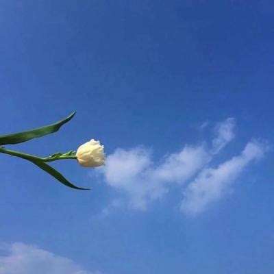 镇魂街游戏破解版下载